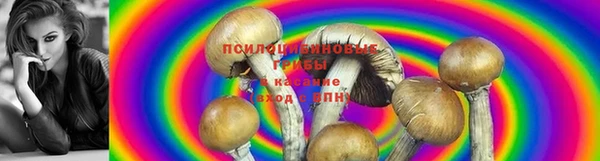 мефедрон мука Каменногорск
