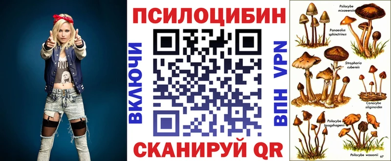 магазин продажи наркотиков  Шагонар  Галлюциногенные грибы Cubensis 